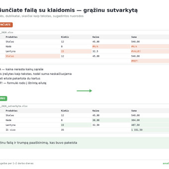 Darbo su „Microsoft Office Excel“ programa konsultacijos Vilnius Tomas | analytics.bi nuotrauka 1