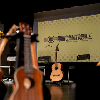 Gitaros pamokos Vilnius Cantabile.lt Juozas Svetika nuotrauka 1