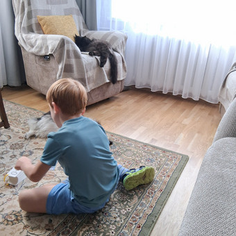Vaikus ruošiu mokyklai Vilnius Violeta Strimaitytė nuotrauka 2
