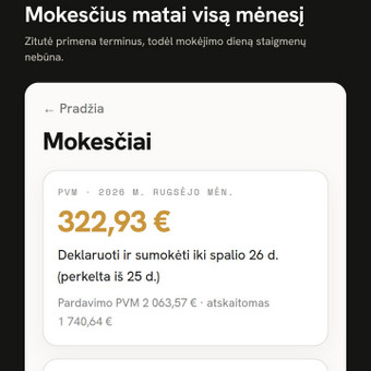 Deklaracijų pildymas, teikimas Klaipėda Zitutė | Today LT, MB nuotrauka 6