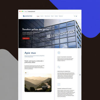 Svetainių kūrimas Šiauliai 7WEB nuotrauka 4