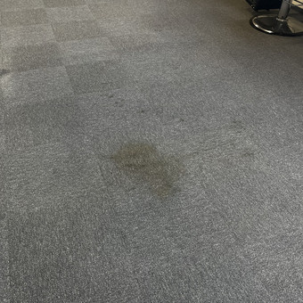 Kilimų valymas Klaipėda Švaru Gaivu nuotrauka 2