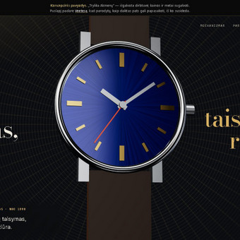 Svetainių dizainas (web design) Kaunas Rokas Stulga nuotrauka 1