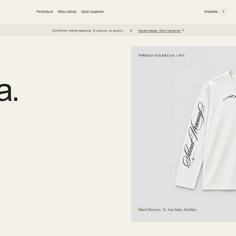 Svetainių dizainas (web design) Klaipėda Dominykas Burneckis nuotrauka 1