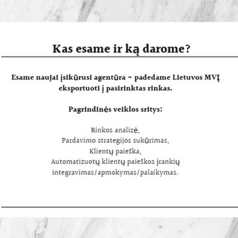 Naujų klientų (leads'ų) generavimas Vilnius Karolina Papreckytė nuotrauka 2