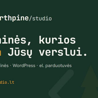 Svetainių talpinimas (Hosting) Kaunas northpine/studio nuotrauka 3