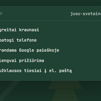 HTML/CSS kodavimas Kaunas northpine/studio nuotrauka 7