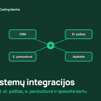 Sistemų integracijos Druskininkų sav. Coding mantis nuotrauka 9