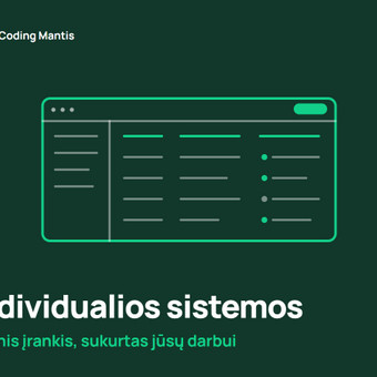 Individualios sistemos ir vidiniai įrankiai Druskininkų sav. Coding mantis nuotrauka 10