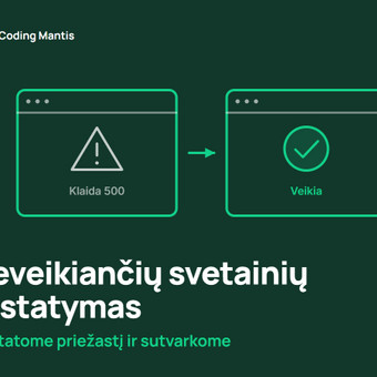 Neveikiančių svetainių atstatymas Druskininkų sav. Coding mantis nuotrauka 12
