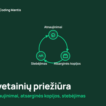 Svetainių priežiūra Druskininkų sav. Coding mantis nuotrauka 14