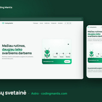 HTML/CSS kodavimas Druskininkų sav. Coding mantis nuotrauka 6