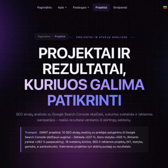 AI paieškos optimizavimas (ChatGPT, Gemini) Kaunas MB Daimanata nuotrauka 15