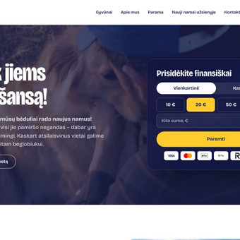 HTML/CSS kodavimas Kaunas MB Daimanata nuotrauka 9