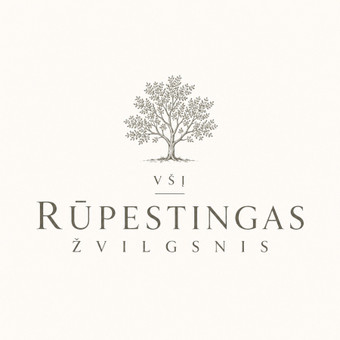 Savivaldybės finansuojama pagalba į namus Vilnius VšĮ Rūpestingas Žvilgsnis nuotrauka 1