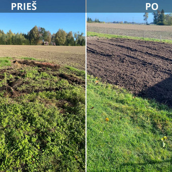 Apleistų sklypų tvarkymas Panevėžys Jurgita Mieliauskaitė nuotrauka 2