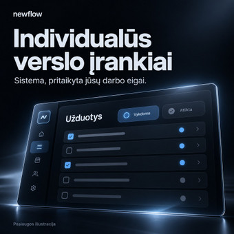 Individualių verslo įrankių kūrimas Vilnius newflow nuotrauka 4