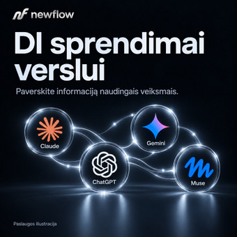 DI automatizavimo sprendimai verslui Vilnius newflow nuotrauka 3