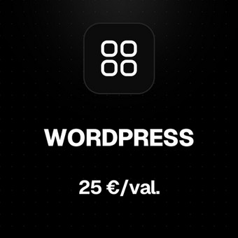 Programavimas su WordPress Kaunas Karolis Cibiras nuotrauka 9