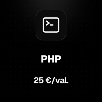 PHP programavimas Kaunas Karolis Cibiras nuotrauka 2