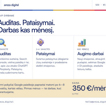 SEO konsultacija Vilnius Areza Digital nuotrauka 9