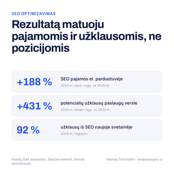 SEO optimizavimas Vilnius Mantas Tamošaitis nuotrauka 3