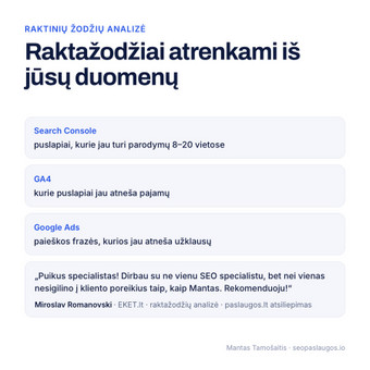 Raktinių žodžių analizė ir parinkimas Vilnius Mantas Tamošaitis nuotrauka 2