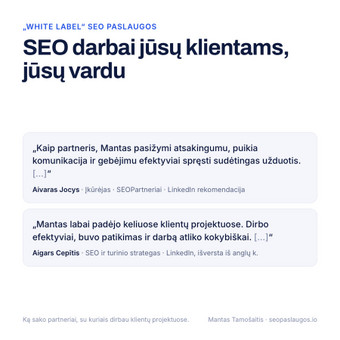 "White label" SEO paslaugos Vilnius Mantas Tamošaitis nuotrauka 9
