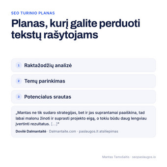 SEO turinio planas Vilnius Mantas Tamošaitis nuotrauka 12