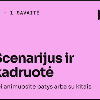 Scenarijus ir kadruotė Vilnius Plainly.lt nuotrauka 9