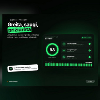 Svetainės priežiūra Vilnius Tomas Butkus nuotrauka 14