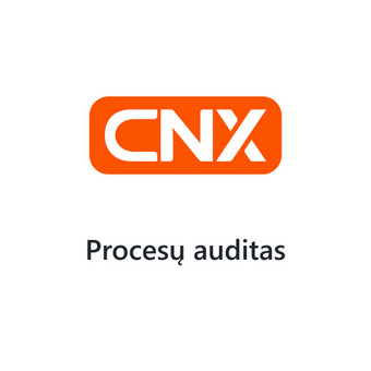 Procesų auditas Kaunas Cernexa nuotrauka 8