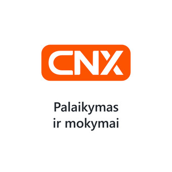 Palaikymas ir mokymai Kaunas Cernexa nuotrauka 9