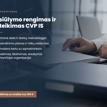Konkurso pateikimas su analize Vilnius PROJEKTŲ PLĖTRA nuotrauka 3