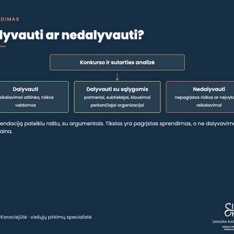 Konkurso analizė su santrauka Vilnius PROJEKTŲ PLĖTRA nuotrauka 2