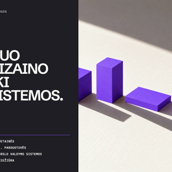 Svetainių dizainas (web design) Klaipėda Pulseweb nuotrauka 1