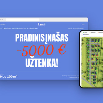Vieno puslapio svetainė per 3 dienas Klaipėda Pulseweb nuotrauka 8