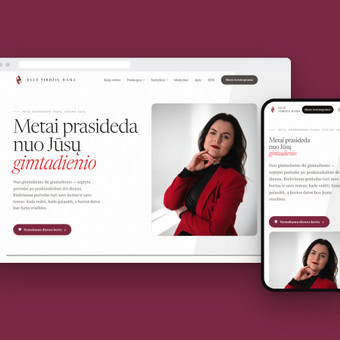 Svetainių talpinimas (Hosting) Klaipėda Pulseweb nuotrauka 3