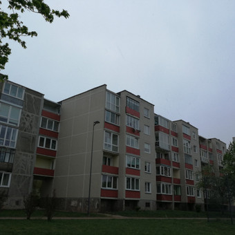 Klaipėda UAB "Sena plyta" nuotrauka 5 Pelėsio naikinimo paslaugos Klaipėda UAB "Sena plyta" nuotrauka 5