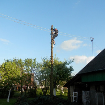 Paslauga