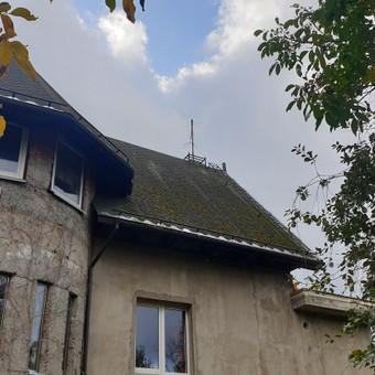Paslauga