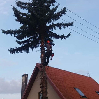 Paslauga