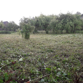 Paslauga