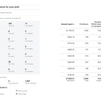 Facebook reklamų kūrimas bei optimizavimas, statinis / dinaminis remarketingas socialiniuose tinkluose. Vilnius Eglė Tertelė / MB E. Rinkodara nuotrauka 8 Facebook reklama Vilnius Eglė Tertelė / MB E. Rinkodara nuotrauka 8