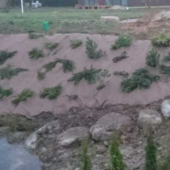 Kaunas Tadas nuotrauka 9 Šlaitų tvirtinimas ir apželdinimas Kaunas Tadas nuotrauka 9