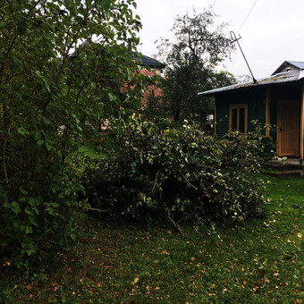 Paslauga