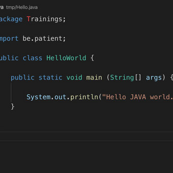 Asmeniniai, nuotoliniai programavimo mokymai. - Vilnius / Programavimo ...