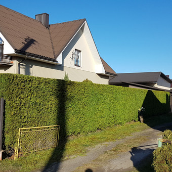 Paslauga