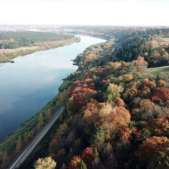 Atstovavimas pagal Įgaliojimą, jei Jūs gyvenate užsienyje ar kitame mieste Kaunas Tautvydas Gaučas nuotrauka 11