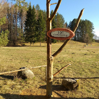 Paslauga